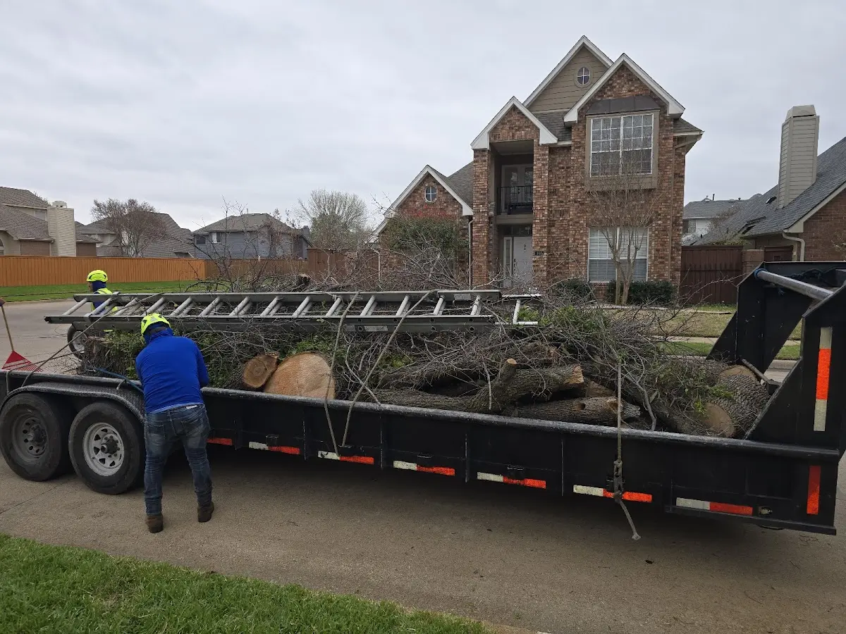Expert Tree Fertilization with proper safety equipment in Crowley